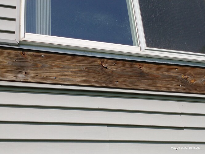 IMG_20220529_102558411