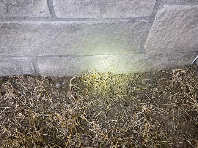 photo-5