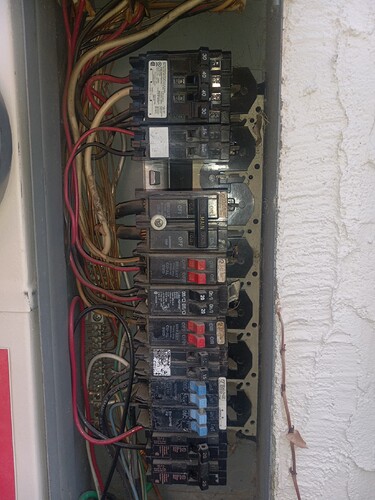 20250219_170556_resized