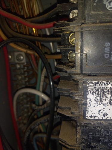 20250219_170629_resized