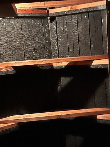 image1 (1)