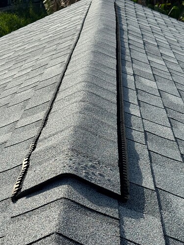 RIDGE SHINGLE BLISTERS