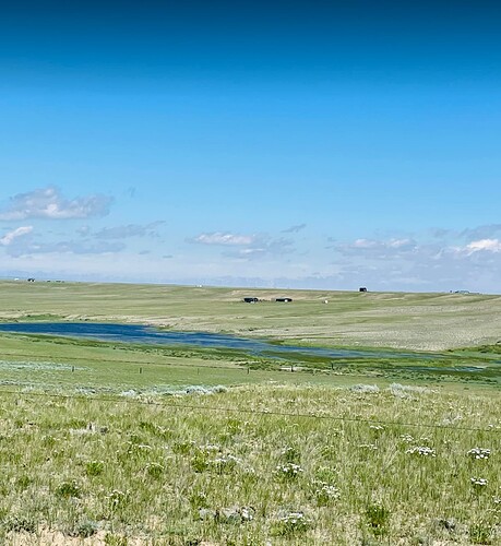 Screenshot 2023-06-21 at 10.08.58 PM