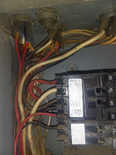 20250219_170607_resized