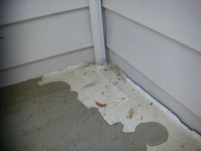 071609 054.JPG