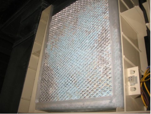 bluehumidifierfilter.jpg