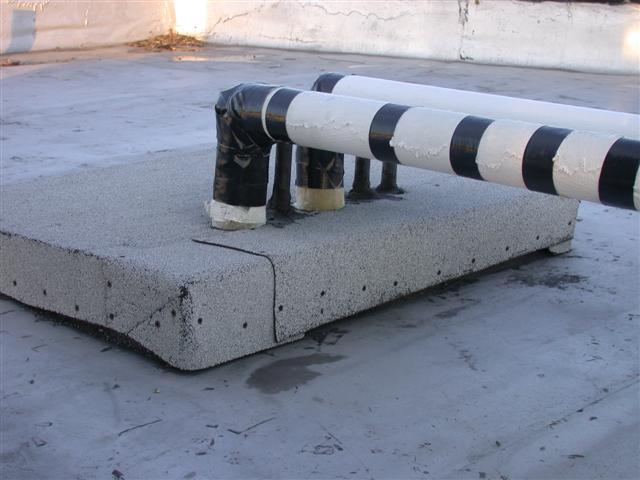 DSCN4387 (Small).JPG