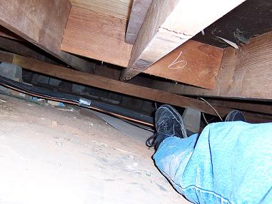 Crawl space.JPG