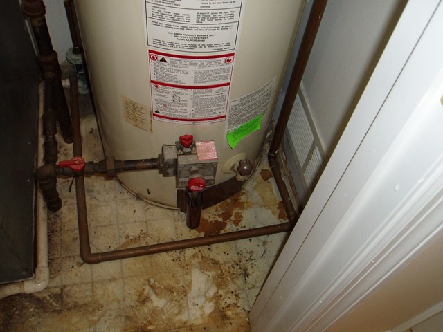 Copy of PB080154.JPG