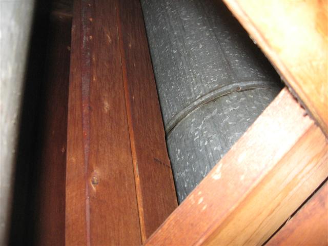 IMG_0565 (Small).JPG