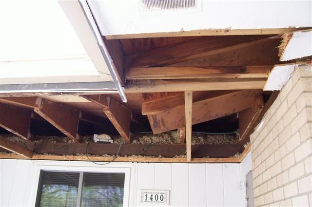 100_0385 (Small).jpg