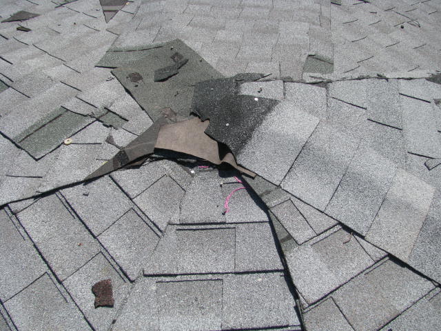 roof02.jpg