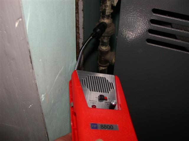 DSCN4994 (Small).JPG