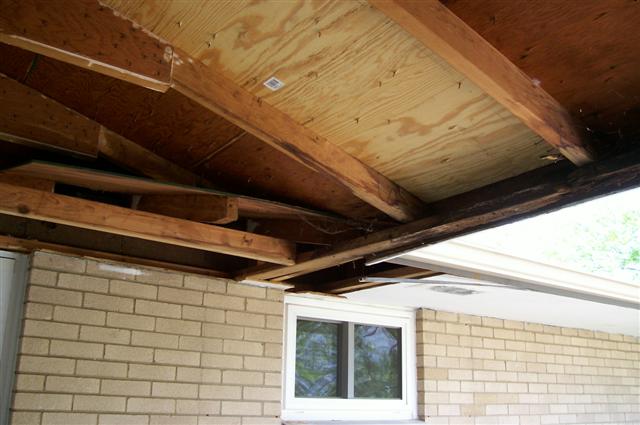 100_0386 (Small).jpg