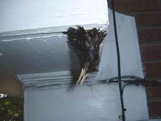 111207 041 (Small).jpg