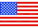 usa flag.png