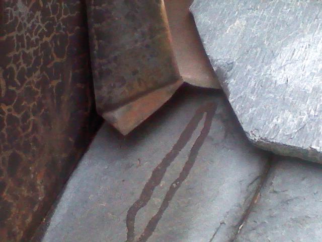 Chimney Wings.jpg
