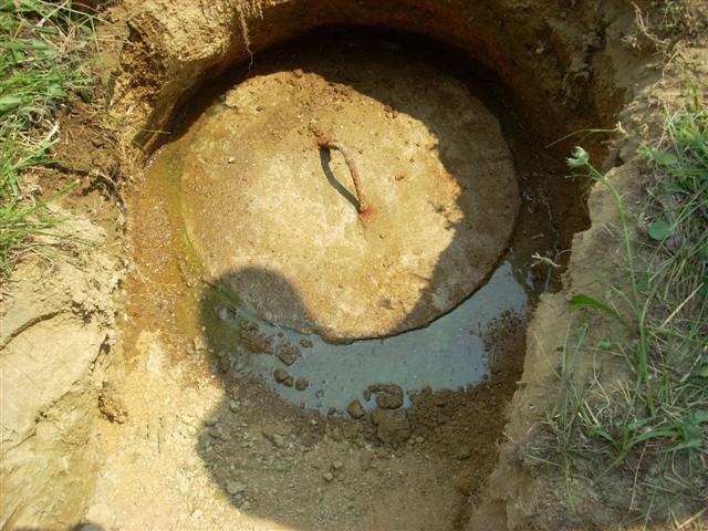 Nedley 011 (Small).jpg