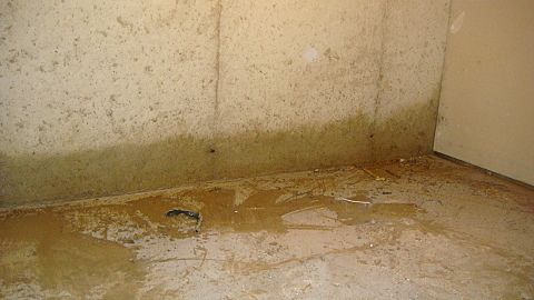 DSC08989.JPG