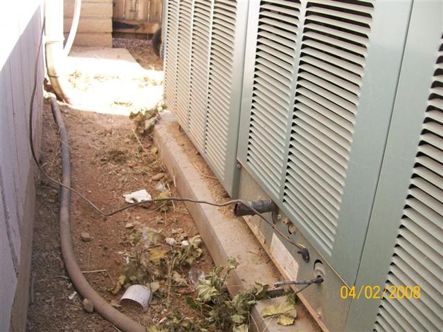 100_3142 (Medium) (Small).JPG