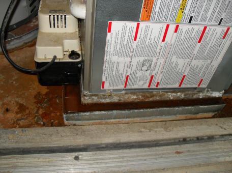 unplugged condensate pump.JPG