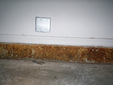 garage stemwall stains moisture 2.jpg