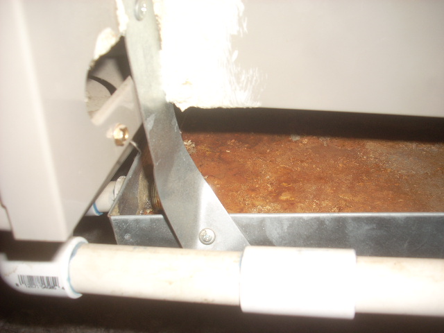 14000 North 94th Street Unit 118 021.JPG