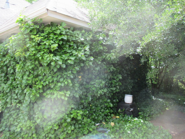IMG_3247.JPG