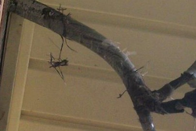 Service wire insulation.jpg