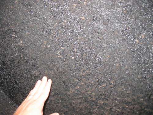 creosote.jpg