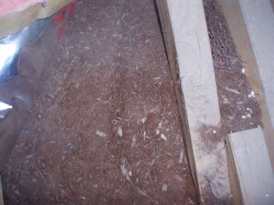 Kerri Tennant 017-400.jpg