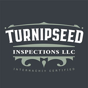 TurnipseedInspectionsLLC-logo