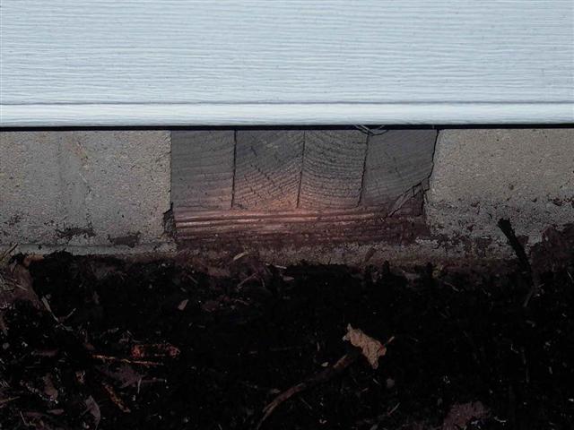 Picture 232 (Small).jpg