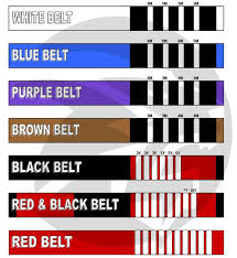 Brazilian Jiu Jitsu Belt System.png