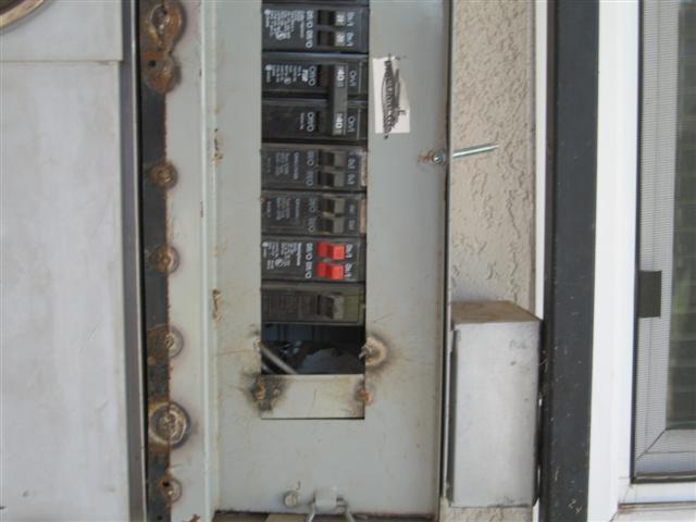 IMG_1228 (Small).JPG