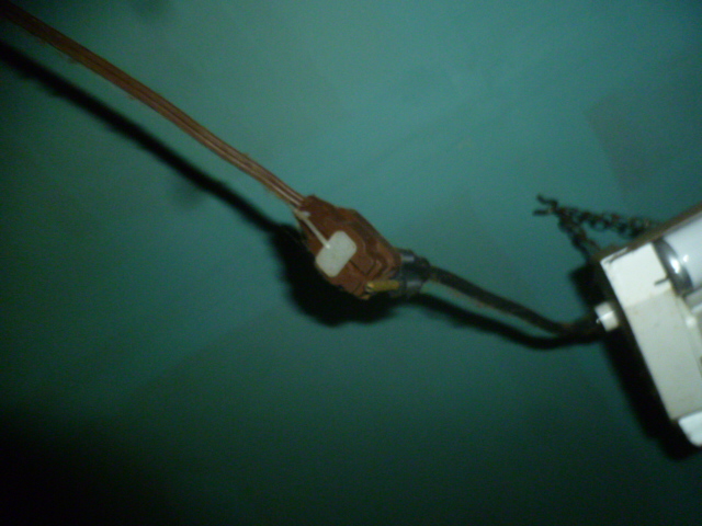P1310991.JPG