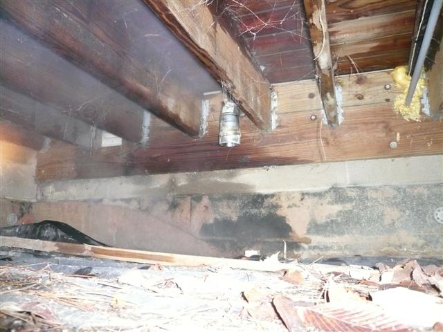 110107 054 (Small).jpg