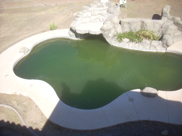 43928 20 Street 10-19-09 009.JPG