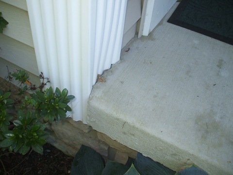 961 ELMWOOD 122.jpg