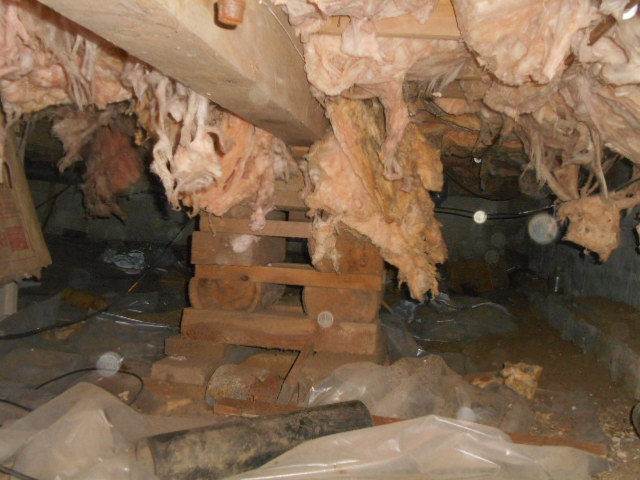 Brenda Raner 140.JPG