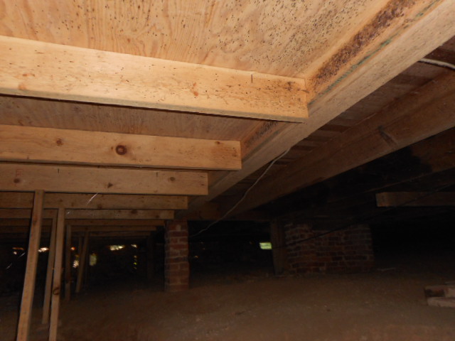 DSCN9453.JPG