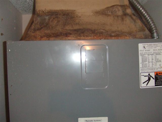 DSCF3372 (Small).JPG