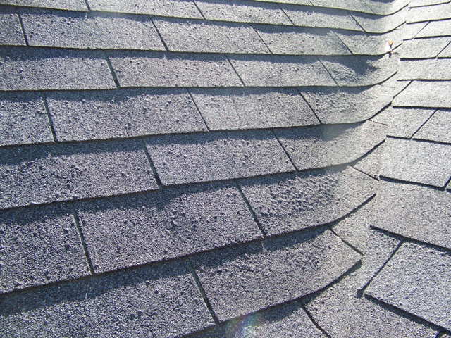 roof shingle.jpg