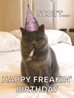 Happy Birthday Funny Animals GIF - Happy Birthday Funny Animals Lets Party -...