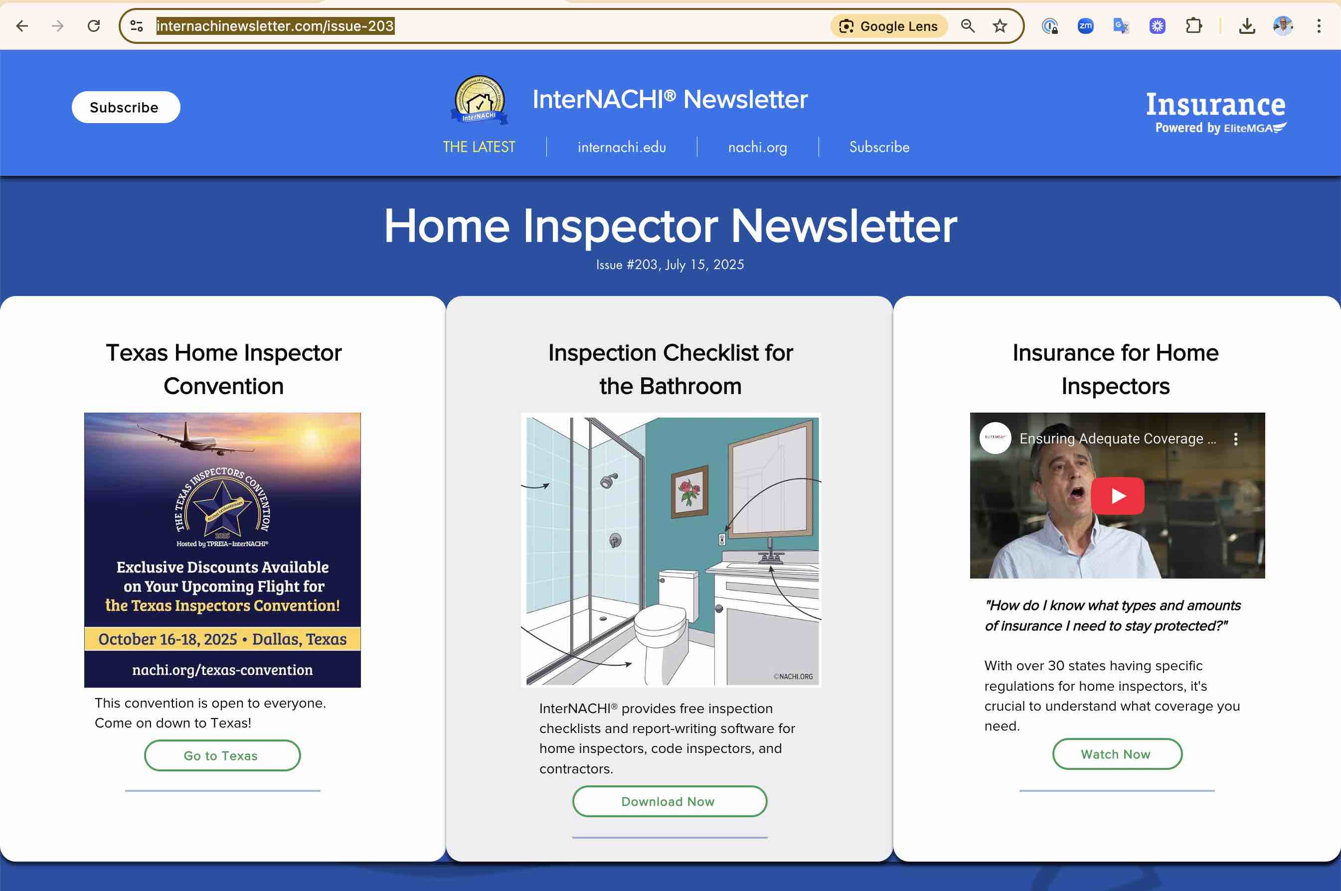 internachi home inspector newsletter 203