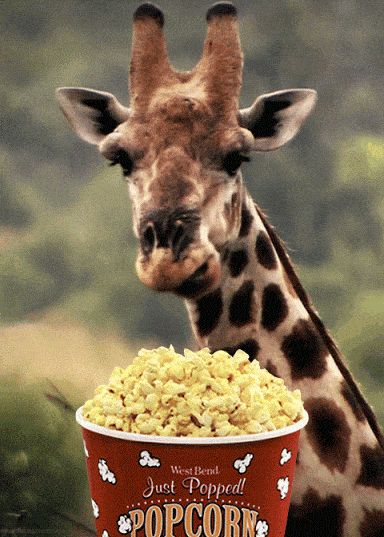 Popcorn Gif - IceGif