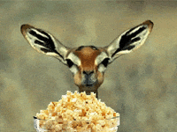 Eating-popcorn GIFs - Get the best GIF on GIPHY