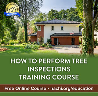 Tree-Course-final.jpg