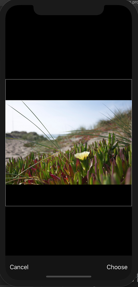 Crop Image with Ionic 3 Camera ( Square => Circle) - ionic-v3 - Ionic Forum
