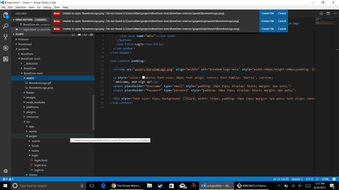 This Picture Wont Load please help - ionic-v3 - Ionic Forum